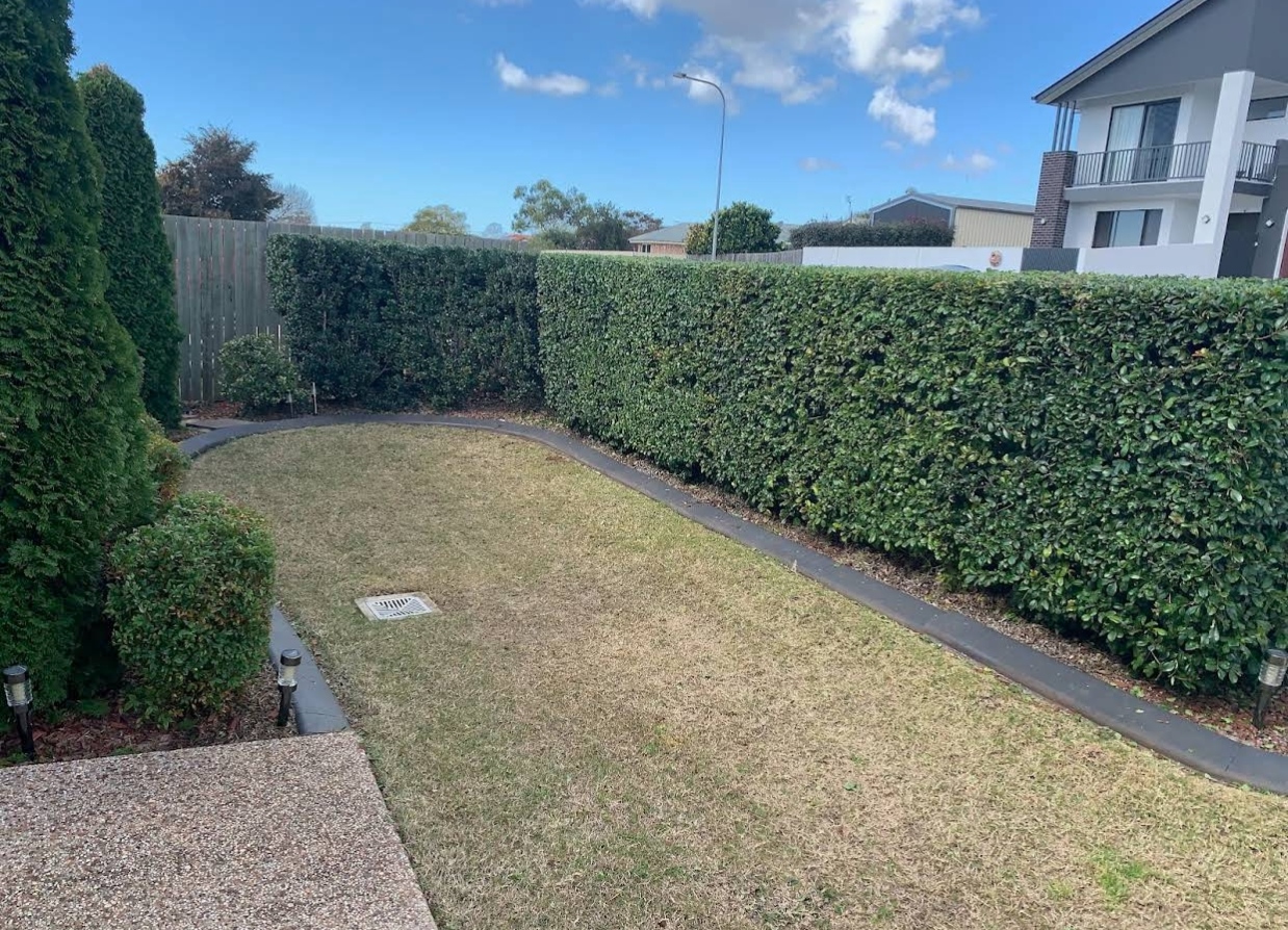 Edged garden beds